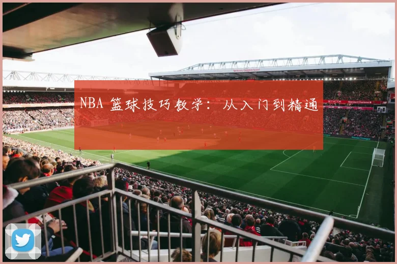NBA 篮球技巧教学：从入门到精通