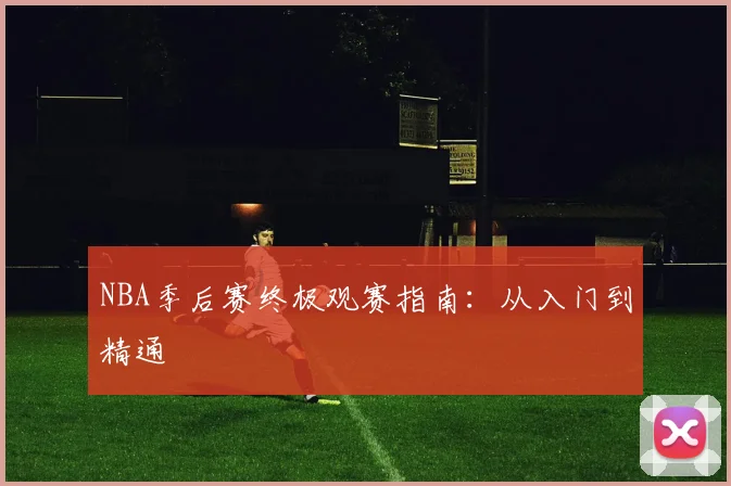 NBA季后赛终极观赛指南:从入门到精通